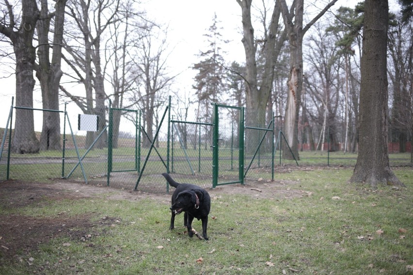 Park dla psów przy ulicy Wrocławskiej w Opolu