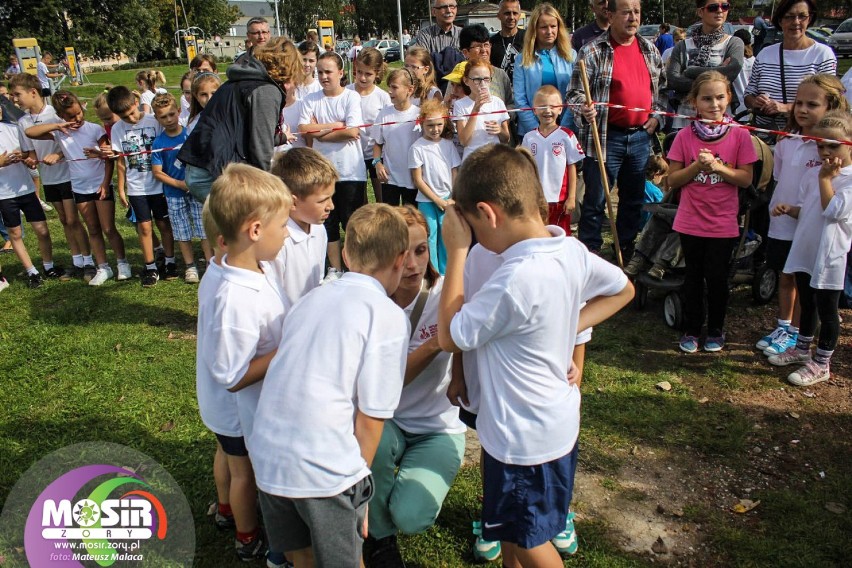 Żorski Jesienny Bieg Przełajowy. Wielkie bieganie w Cegielni [ZDJĘCIA]