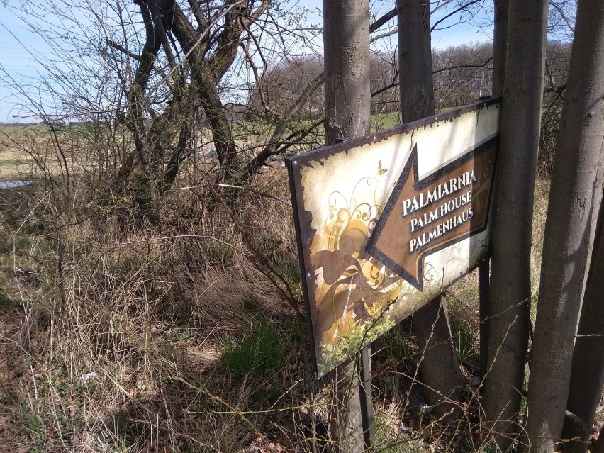 Dzikie wysypisko odpadów koło Palmiarni w Wałbrzychu