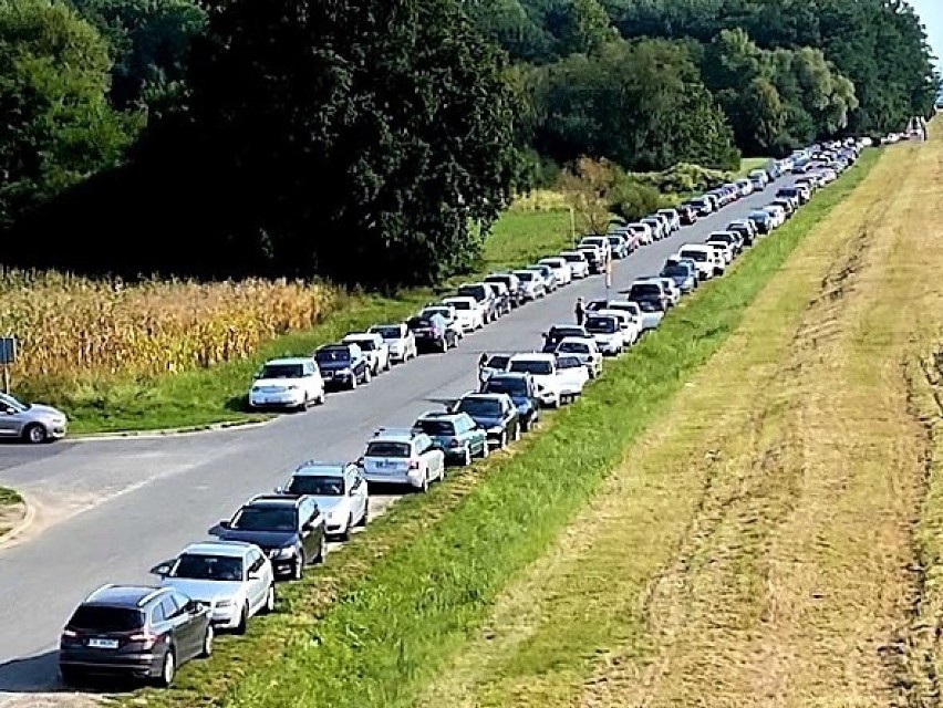 Wyspa Bolko w niedzielę 13 września. Auta parkują wzdłuż...