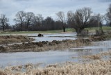Coraz więcej wody na polach koło Głogowa. Rolnicy zgłaszają do gmin zalane łąki i grunty. Gdzie jest najgorzej?