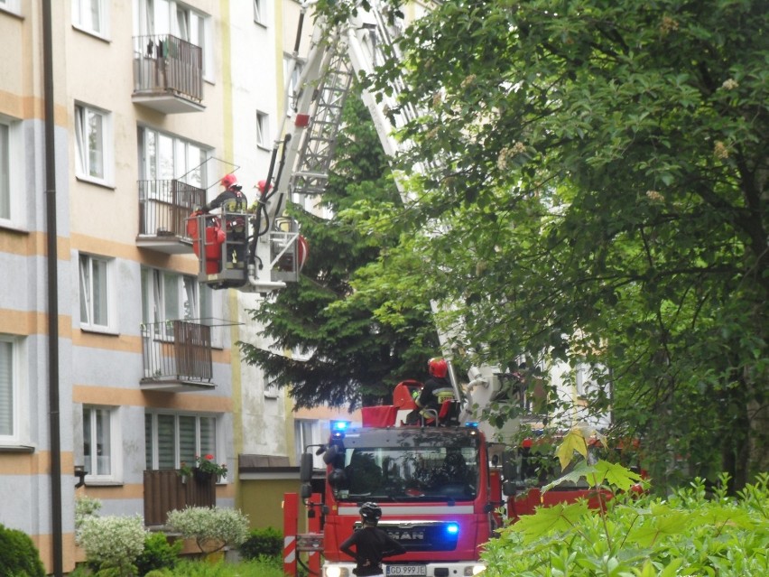 Służby zostały wezwane wczoraj (7 czerwca) do mieszkanki...