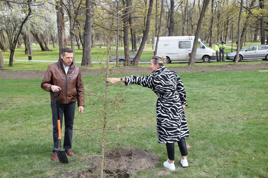 Z inicjatywy Energetyki Cieplnej posadzono nowe drzewa w Parku Miejskim