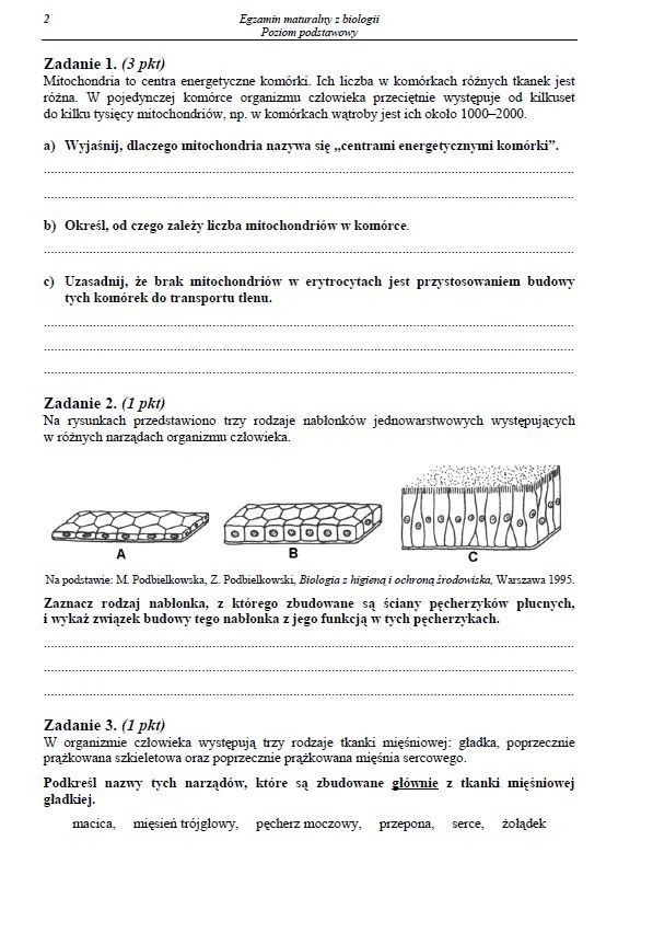 MATURA 2013 biologia: ODPOWIEDZI, mamy ARKUSZE [poziom podstawowy]