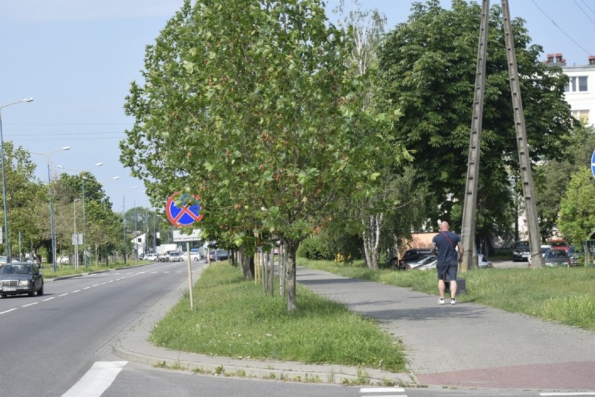 Przy alei Niepodległości na odcinku od ulicy Cichej do ronda...