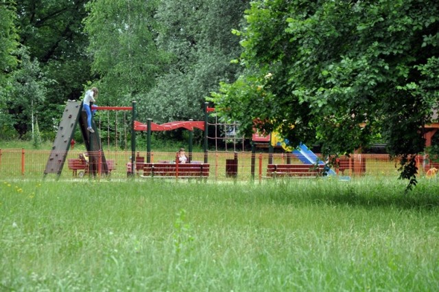 Teren, na którym powstanie nowy park, znajduje się pomiędzy ulicami Myśliwską, Gumińską oraz Lasówka. Ma zajmować łącznie 10 hektarów. Do października zagospodarowane zostaną 2 hektary