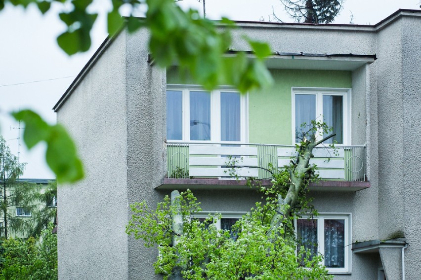 Tarnów. Przy ul. Mościckiego drzewo przewróciło się na dom [ZDJĘCIA]