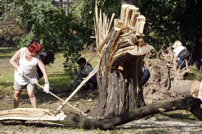 Tak sprzątaliśmy park po huraganie w Legnicy [ZDJĘCIA] 