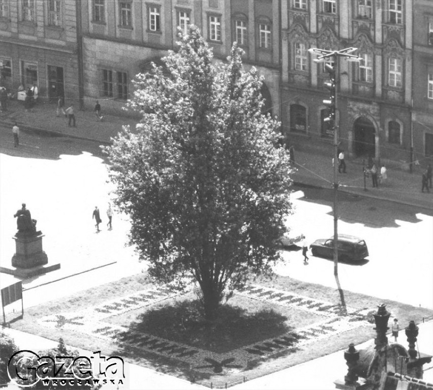 Rok 1968. Rynek, Plac Gołębi, obok pomnika Aleksandra Fredry...
