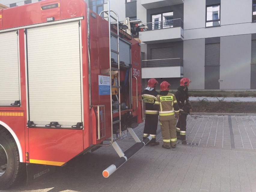 Wybuch w kuchni w mieszkaniu przy ul. Dembowskiego w Szczecinie. Ranna jedna osoba