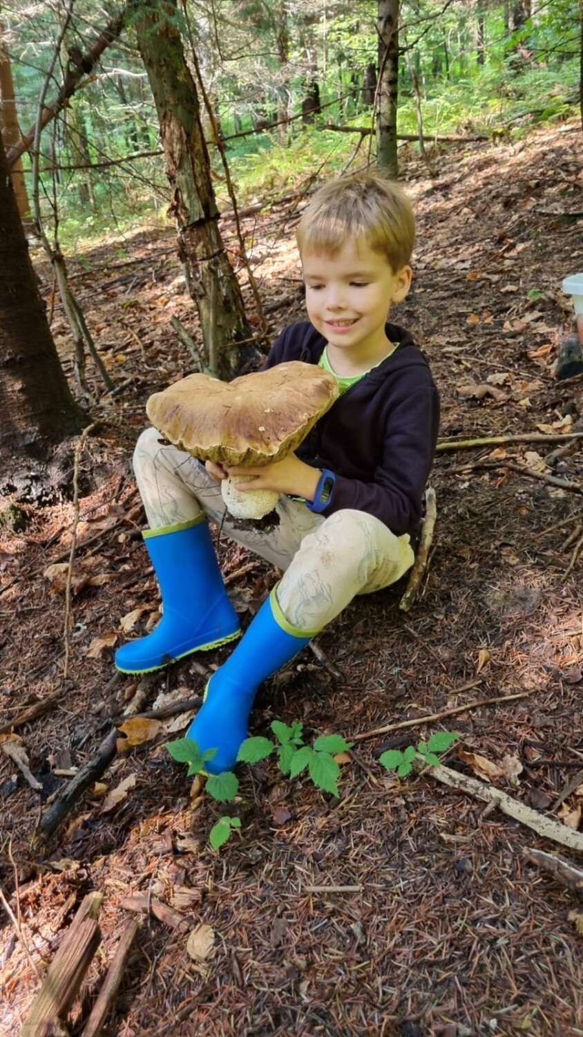 7-letni Milan znalazł gigantycznego borowika