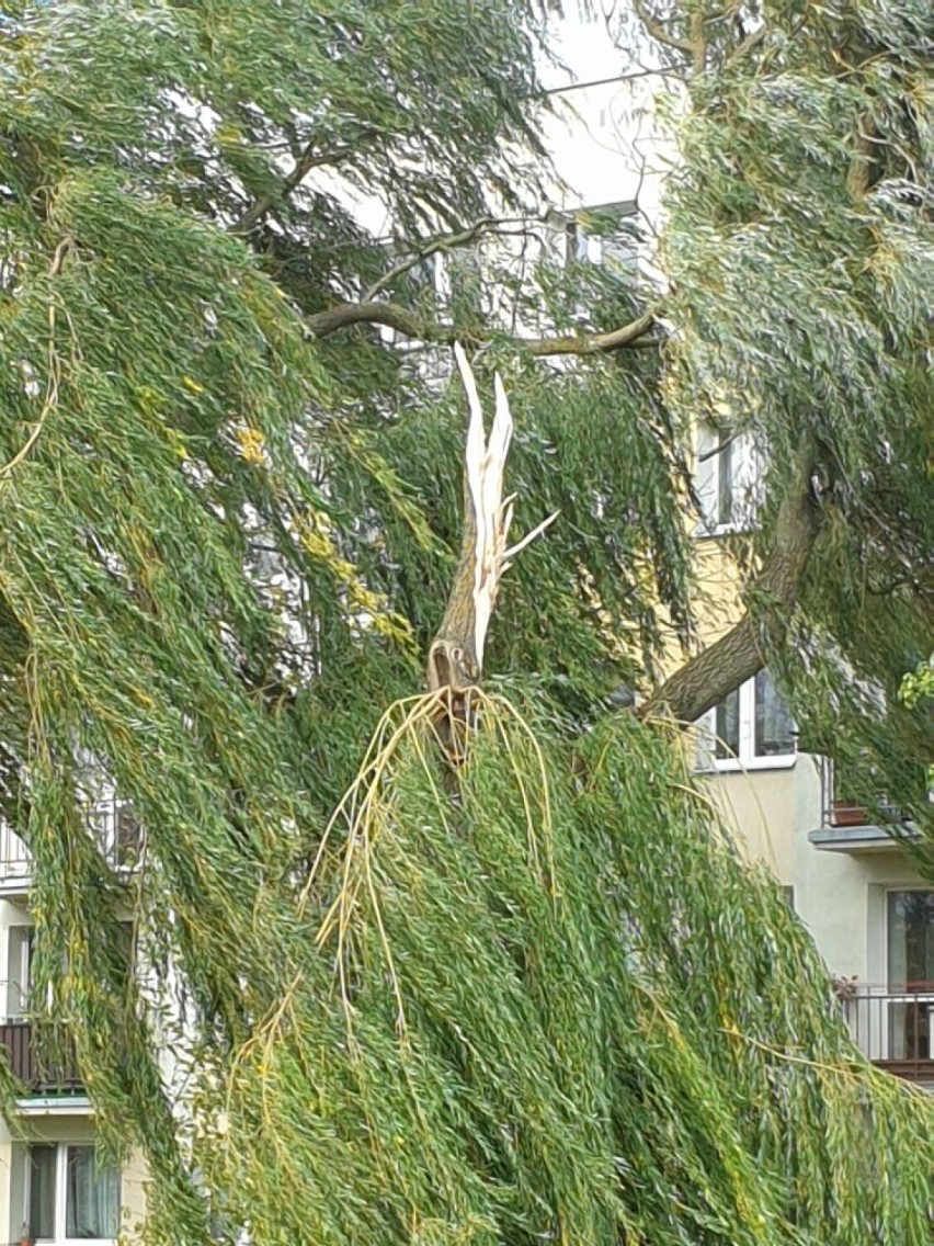 Potężnie wieje nad Szczecinkiem i okolicami. Uważajcie  [zdjęcia]