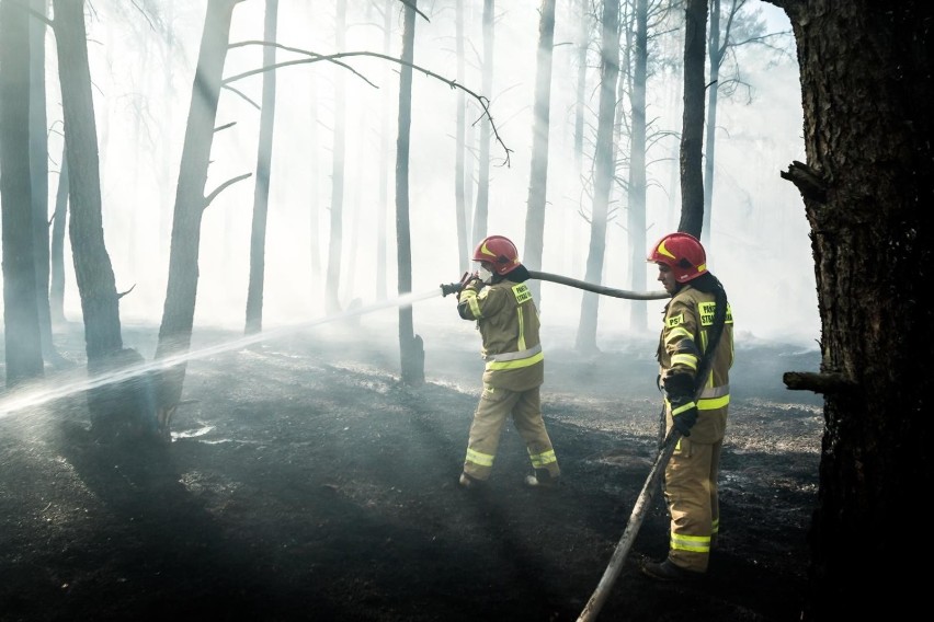 To był pracowity dzień dla strażaków z Bydgoszczy