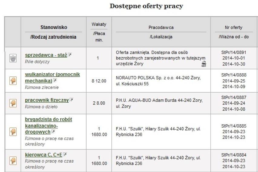 Oferty pracy Żory: Sprawdź, jakie są. Ile możesz zarobić?