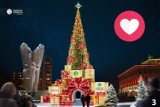 W Dąbrowie Górniczej mieszkańcy wybierają już świąteczne drzewko na Boże Narodzenie. Jest pięć propozycji. Podobają się wam?