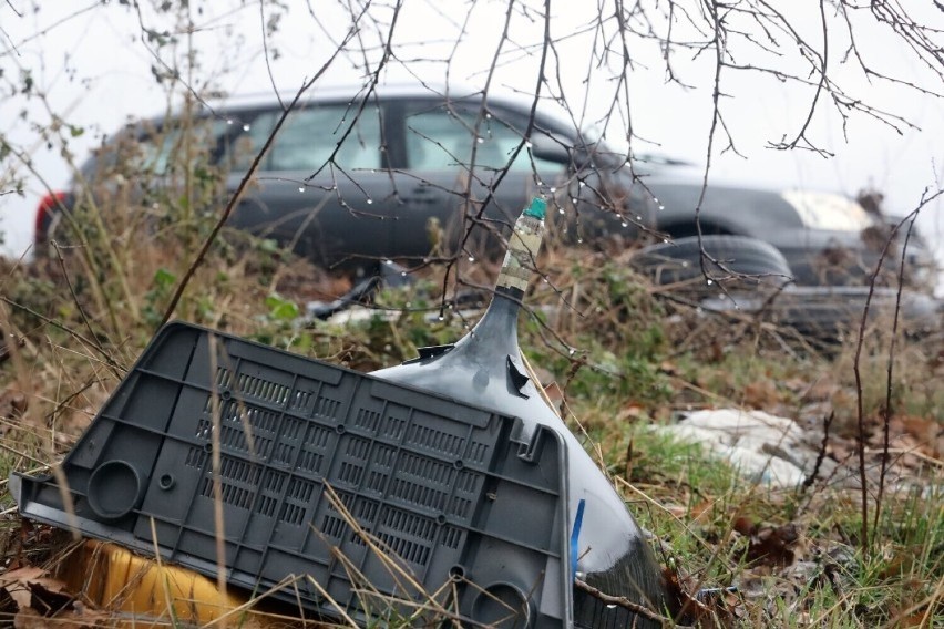 Legnica coraz czystsza dzięki bezrobotnym. Przez dwa miesiące zebrali ponad 13 ton odpadów!