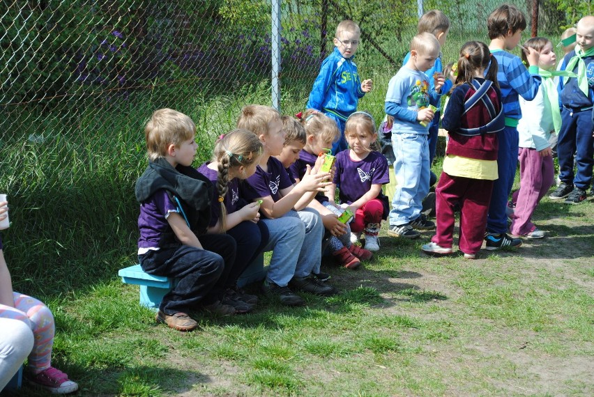 Wiosenne, łąkowe zawody sportowe w Grabówcu pełne były...