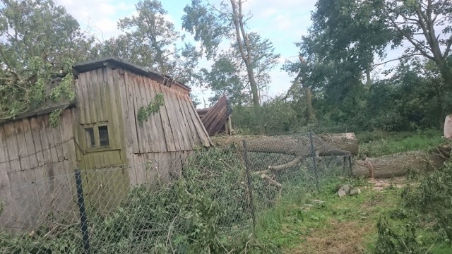 Nowy Dwór Gdański. Strażacy z nowodworskiej jednostki OSP ruszyli z akcją pomocy dla poszkodowanych po piątkowej nawałnicy, która przeszła przez Pomorze. Zobacz, o co proszą.