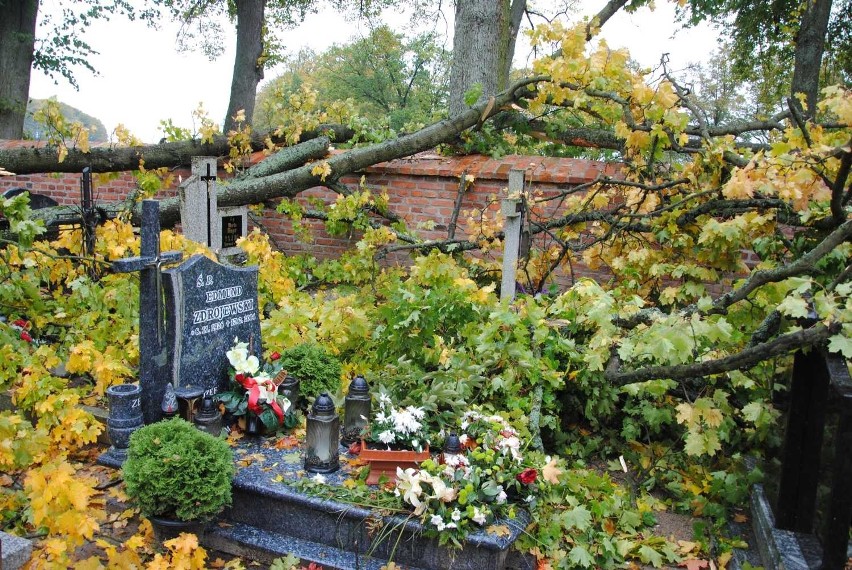 Piątkowa wichura wyrządziła szkody na kartuskim starym cmentarzu i Parku Solidarności