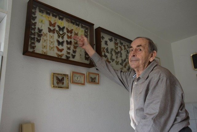 Zainteresowania motylami i zbieraniem autografów nauczyłem się od ojca - opowiada emerytowany opolski lekarz, prof. Janusz Kubicki.