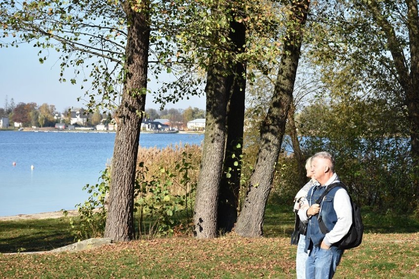 Okuninka. Kolory jesieni nad Jeziorem Białym 