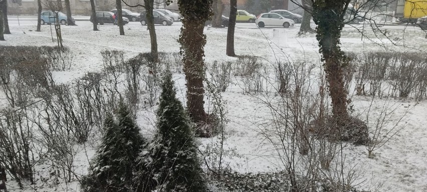 Gwałtowna burza śnieżna przeszła nad Tomaszowem i regionem. Podsumowanie skutków burzy [ZDJĘCIA, FILM]