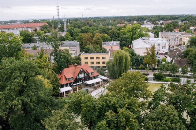 W ciągu ostatnich pięciu lat posadzono w Opolu aż 15 tys. nowych drzew.