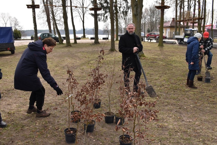 Sadzenie drzewek na 25-lecie "Krokusa"