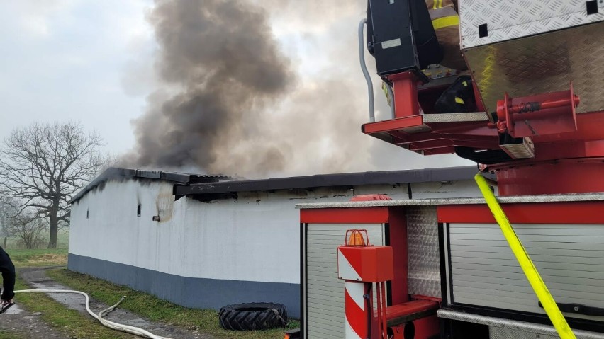 Pożar hali w Gostyni. Nie żyje jedna osoba