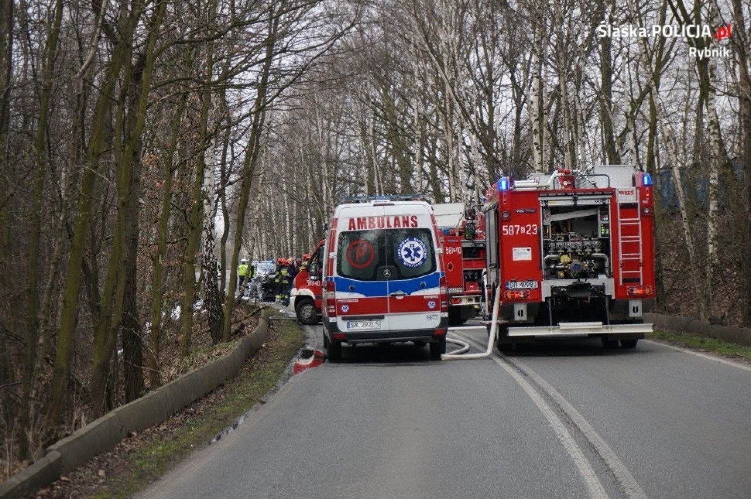 Wypadek na Śląskiej w Rybniku. Nissan uderzył w drzewo, nie żyje