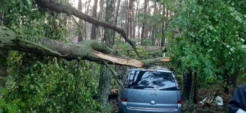 Tak strażacy usuwali skutki nawałnicy w Zduńskiej Woli, Łasku i gminach naszych powiatów ZDJĘCIA