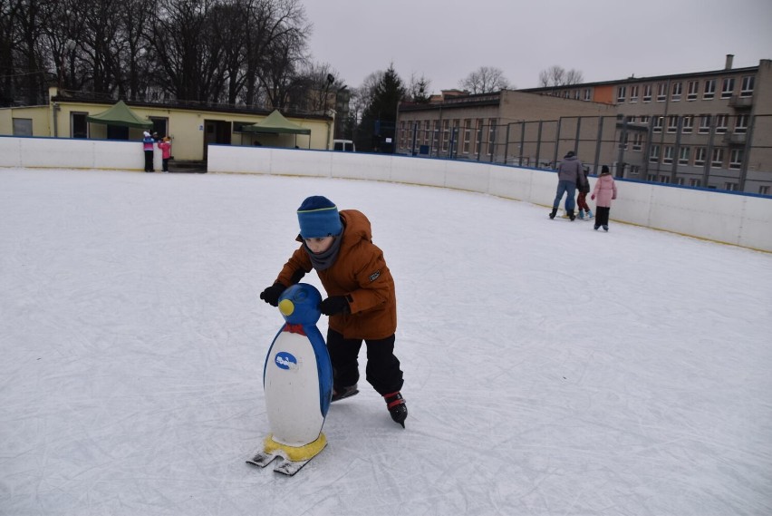 Chełm. Klasa sportowa Szkoły Podstawowej nr 6  odwiedziła chełmskie lodowisko. Zobacz zdjęcia