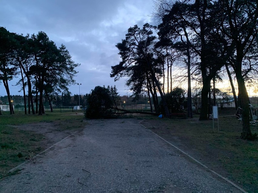 Wichura w powiecie obornickim. Strażacy odnotowali rekordową ilość zgłoszeń [ZDJĘCIA]