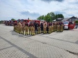 Strażacy z PSP i druhowie z OSP ćwiczyli gaszenie pożarów w lesie [FOTO]
