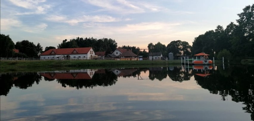 Gościniec Borki Wielkie. Idealne miejsce na  wypoczynek niecałe 50 km od Wielunia