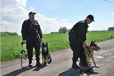 Mikołow: Psy policyjne przeszły szkolenie ze swoimi opiekunami