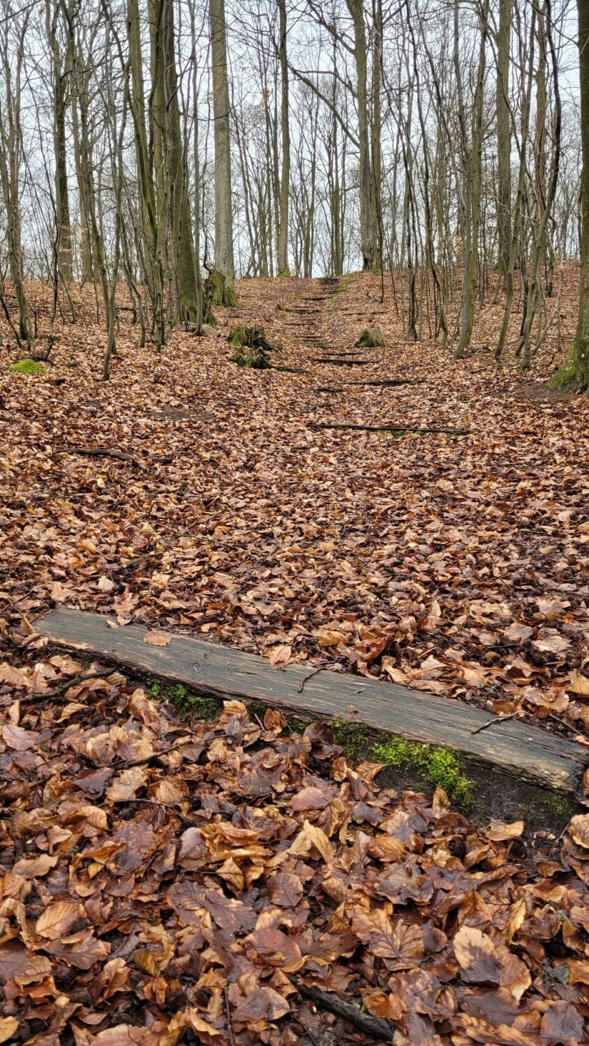 Kobiet los rzucony na stos. W tych miejscach rozprawiano się...