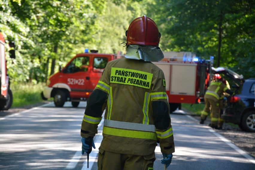 Tak wyglądały akcje strażaków z powiatu sępoleńskiego w 2021...