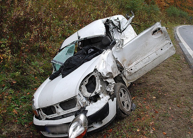 Ze wstępnych ustaleń wynika, że kierujący renault kangoo, jechał od Jasła w kierunku Strzyżowa. W Warzycach  na łuku drogi prawdopodobnie stracił panowanie nad pojazdem i uderzył w naczepę jadącego z naprzeciwka samochodu ciężarowego, po czym wpadł do przydrożnego rowu.