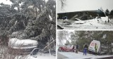 Wichury i śnieżna burza w woj. śląskim. Uszkodzone dachy, połamane drzewa, jedna osoba ranna