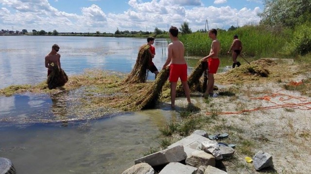 Na razie ratownicy sami walcza z moczarką. W przyszłym roku dostaną wsparcie miasta.