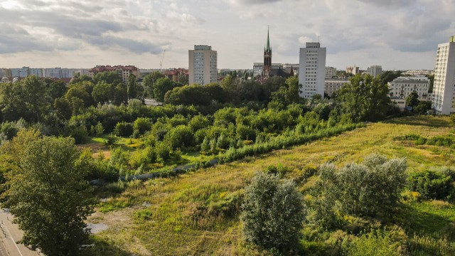 Zdjęcia wykonane z dronu latem 2021 roku