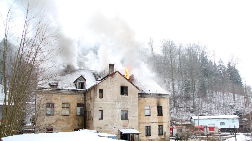 Dziesięć osób zostało rannych w dużym pożarze domu w Libercu. W płomieniach zginął pies (FOTO)