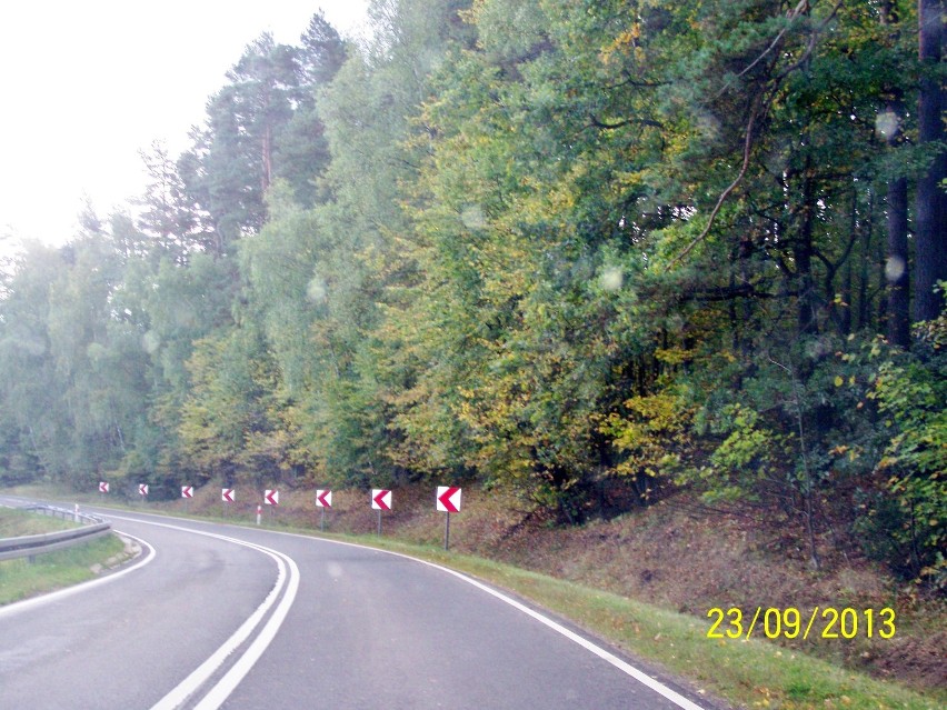 Początek jesieni w Łańskich lasach - to tak po drodze :)