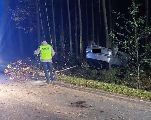 Pijany kierowca uderzył w drzewo na drodze pomiędzy Parznem i Emilinem