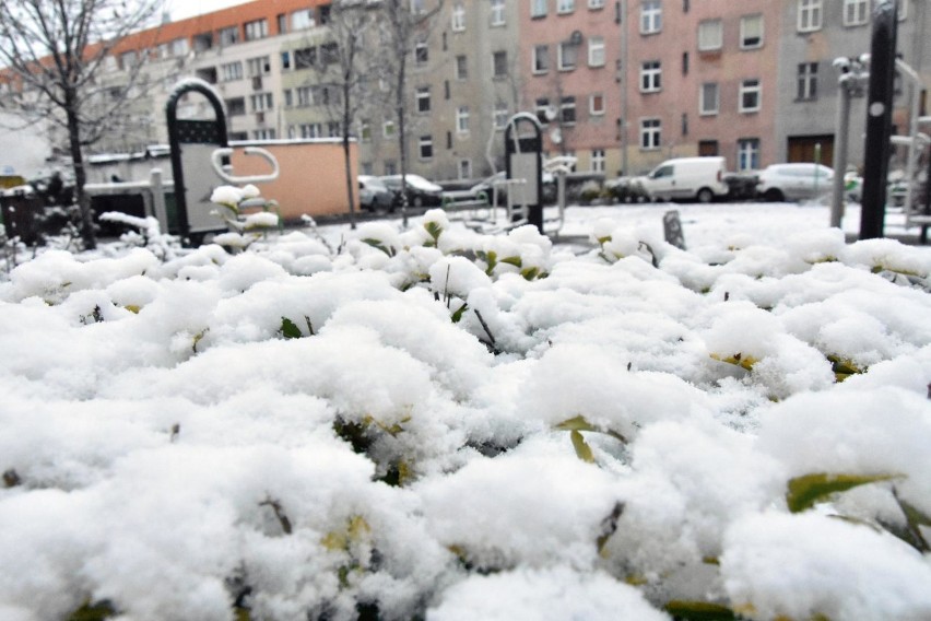 Uwaga! Ostrzeżenie meteorologiczne dla Legnicy i powiatu legnickiego. Intensywne opady śniegu oraz oblodzenie dróg i chodników!