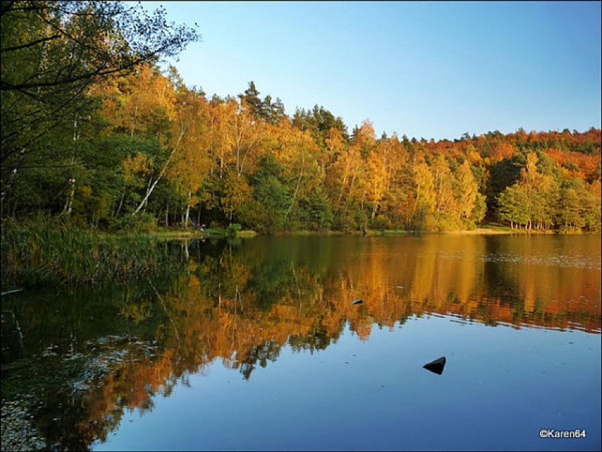 Jezioro Dobre jesienią