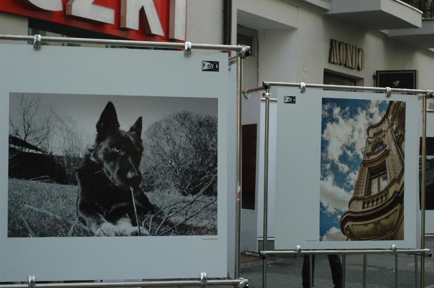 Wystawa Fotografii w Kaliszu. Zobacz prace członków grupy...