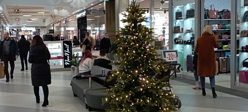 Galeria Sekunda w Jędrzejowie gotowa na święta Bożego Narodzenia. Zobaczcie zdjęcia pięknych świątecznych dekoracji