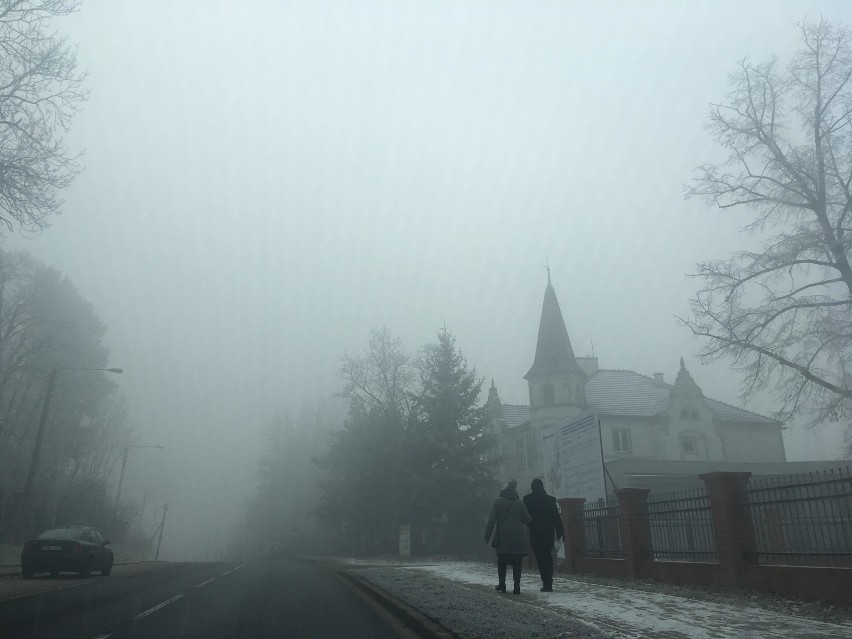 Kożuchów – Szprotowa. Niedzielne mgły w okolicy Wrociszowa, Kożuchowa, Pobrzezia, Cisowa, Borowiny, Pasterzowic, Szprotawy [ZDJĘCIA CZYTELNI
